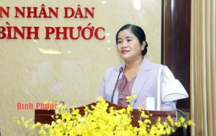 Deputy Secretary of the Provincial Party Committee, Chairman of the Provincial People's Committee Tran Tue Hien spoke at the workshop.