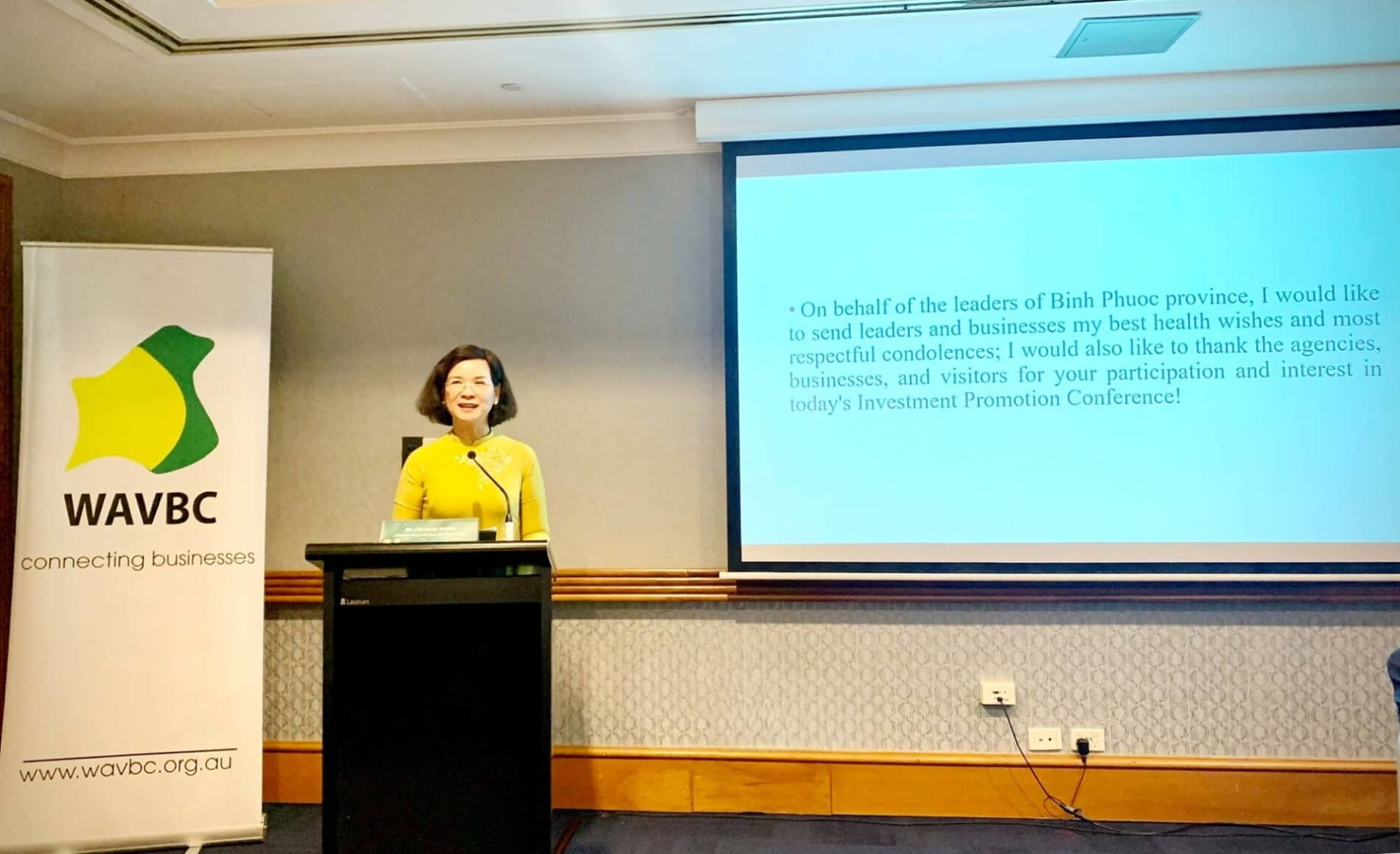 Mrs. TRAN TUYET MINH - Member of the Standing Committee of the Provincial Party Committee, Vice Chairman of the People's Committee of Province