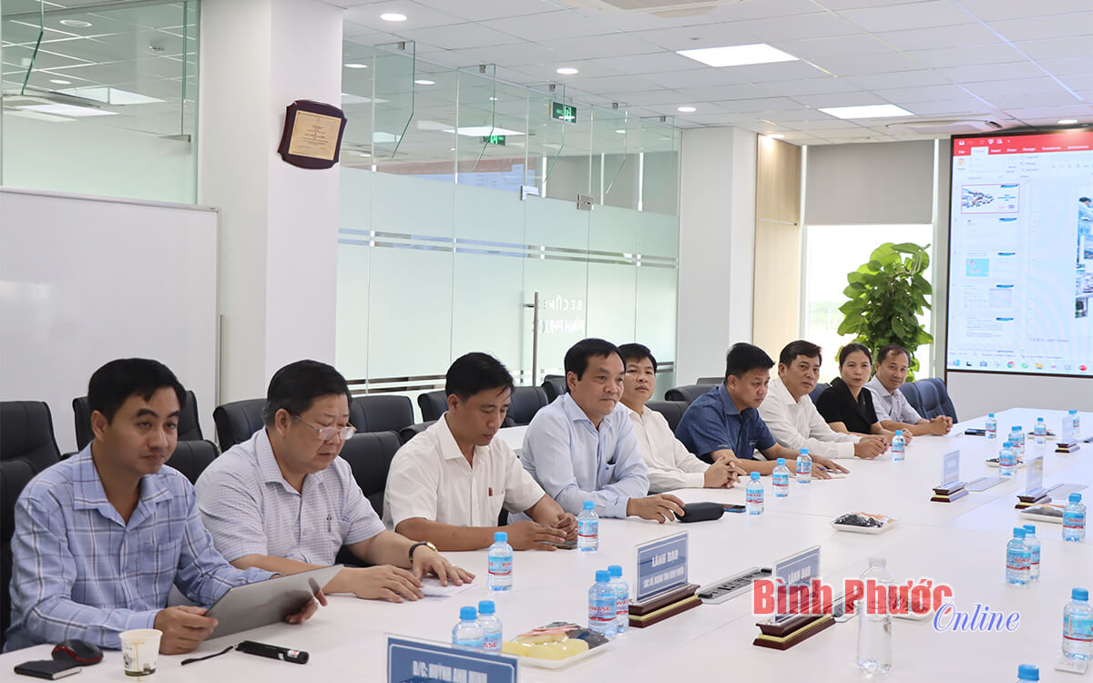 Đại diện lãnh đạo các sở, ban, ngành của tỉnh tiếp, làm việc với đoàn